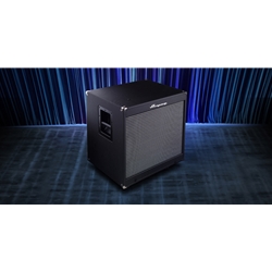 Ampeg PF-115LF Portaflex 1x15" Bass Cabinet