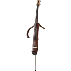 Electric String Instruments