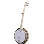 Deering Goodtime Two Banjo w/ Resonator