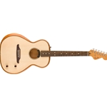 Fender Highway Series Parlor Guitar