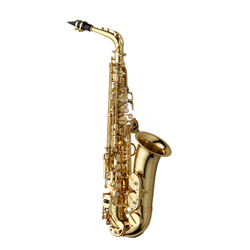 Yanagisawa Professional Alto Saxophone AW01