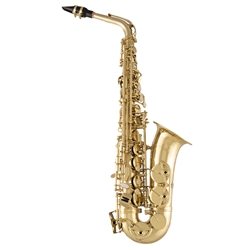 Selmer SAS711 Professional Step-Up Alto Sax